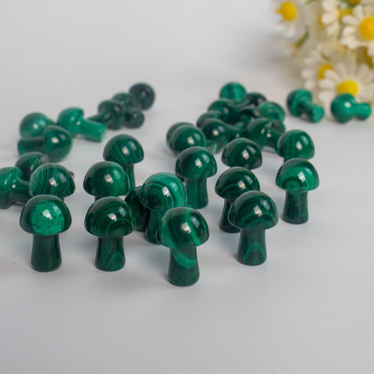 High Quality Mini Size Malachite Mushrooms