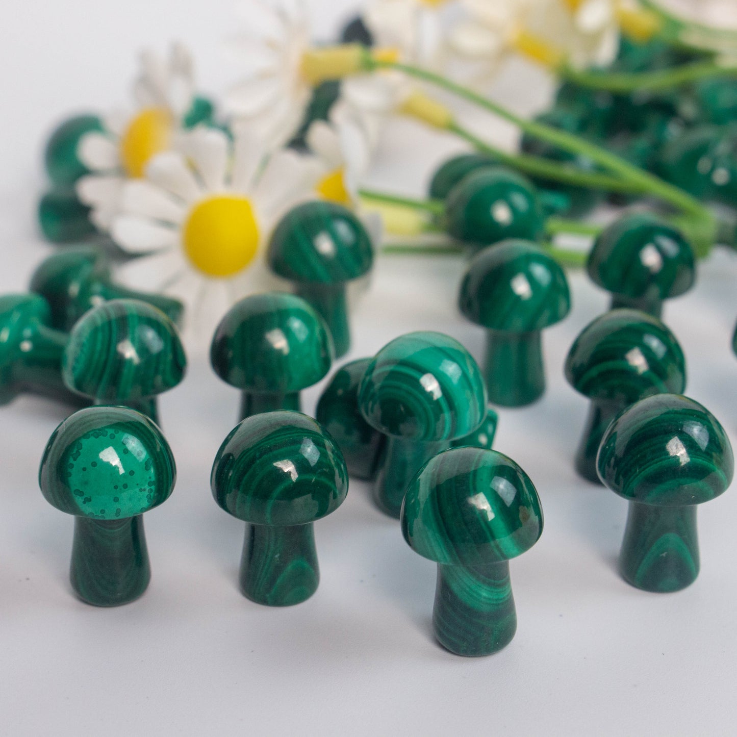 High Quality Mini Size Malachite Mushrooms