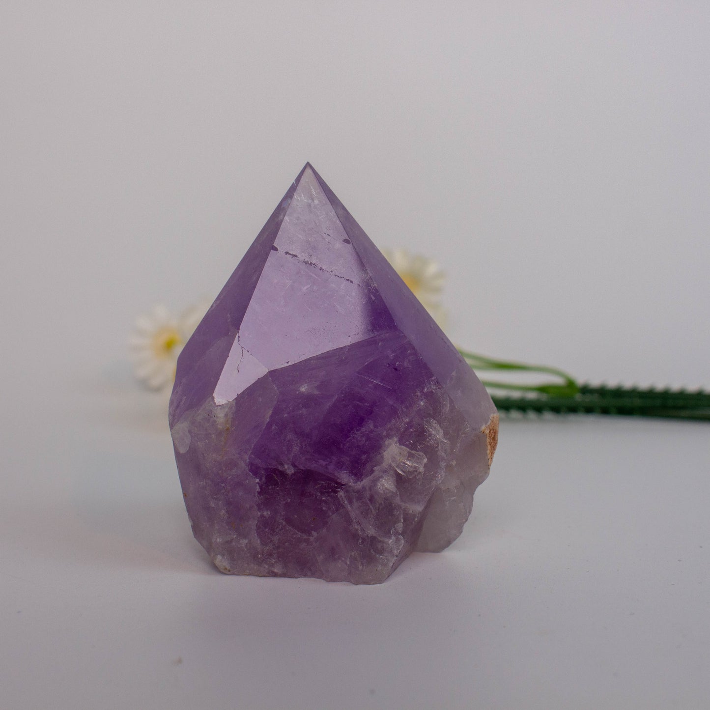 Amethyst Raw Stone With Single Point Natural Healing Crystal Stones