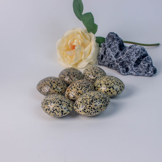 Dalmatian Palm Stones